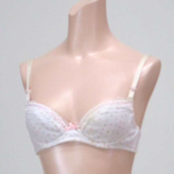 ブラジャー